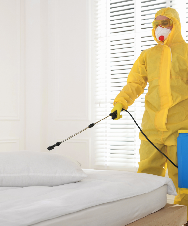 Professional Pest Control Team in Horsnell Gully
